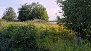 приятные воспоминания