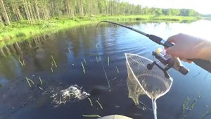 ТРИ ДНЯ В ТАЙГЕ _ ЛОВЛЯ ЩУКИ НА КРУЖКИ _ РЫБАЛКА НА СПИННИНГ _ ТАЕЖНАЯ ИЗБА _ КАРЕЛИЯ _ часть 1.