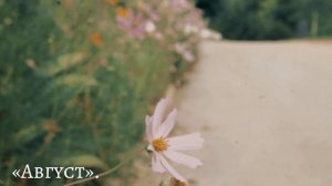 Августовский Вайб (Мариинский Посад)