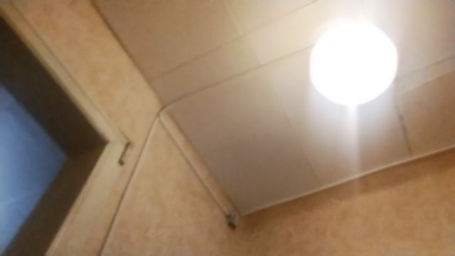 Победа! Победа! Спасибо Sammy! смотреть онлайн