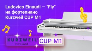 Что, если ваше фортепиано может звучать богаче? - Kurzweil CUP M1 | Глинки.ру PLAYZONE Einaudi Fly
