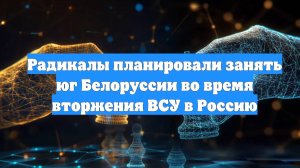 Радикалы планировали занять юг Белоруссии во время вторжения ВСУ в Россию
