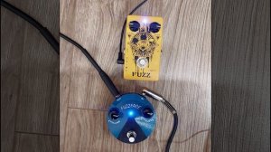 Caline Fuzzy Bear vs Dunlop Fuzz Face