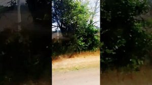 вторая часть повестка в Анапу 🎀✨
