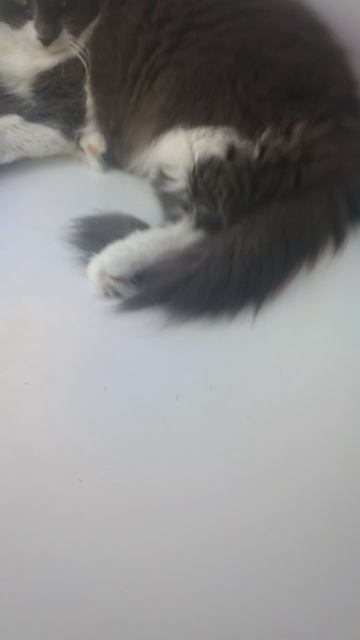 тише она спит