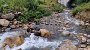 Экскурсия в тайгу  100км за Беренжагский . mp4