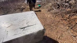 Гусь-птеродактиль / Охота на гуся весна 2022 / часть 6 (заключительная)