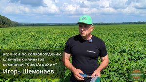 Как распознать дефицит питания на любой культуре?