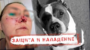 НОВОСТИ КАМЧАТКИ: ЗАЩИТА И НАПАДЕНИЕ