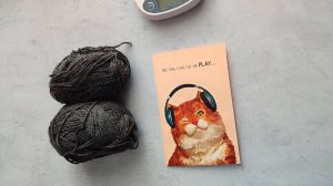 Носочки с Таней 2025//4 сезон/ АВГУСТ / участник 28 / 1 пара