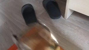 Игра в тюленя🦄