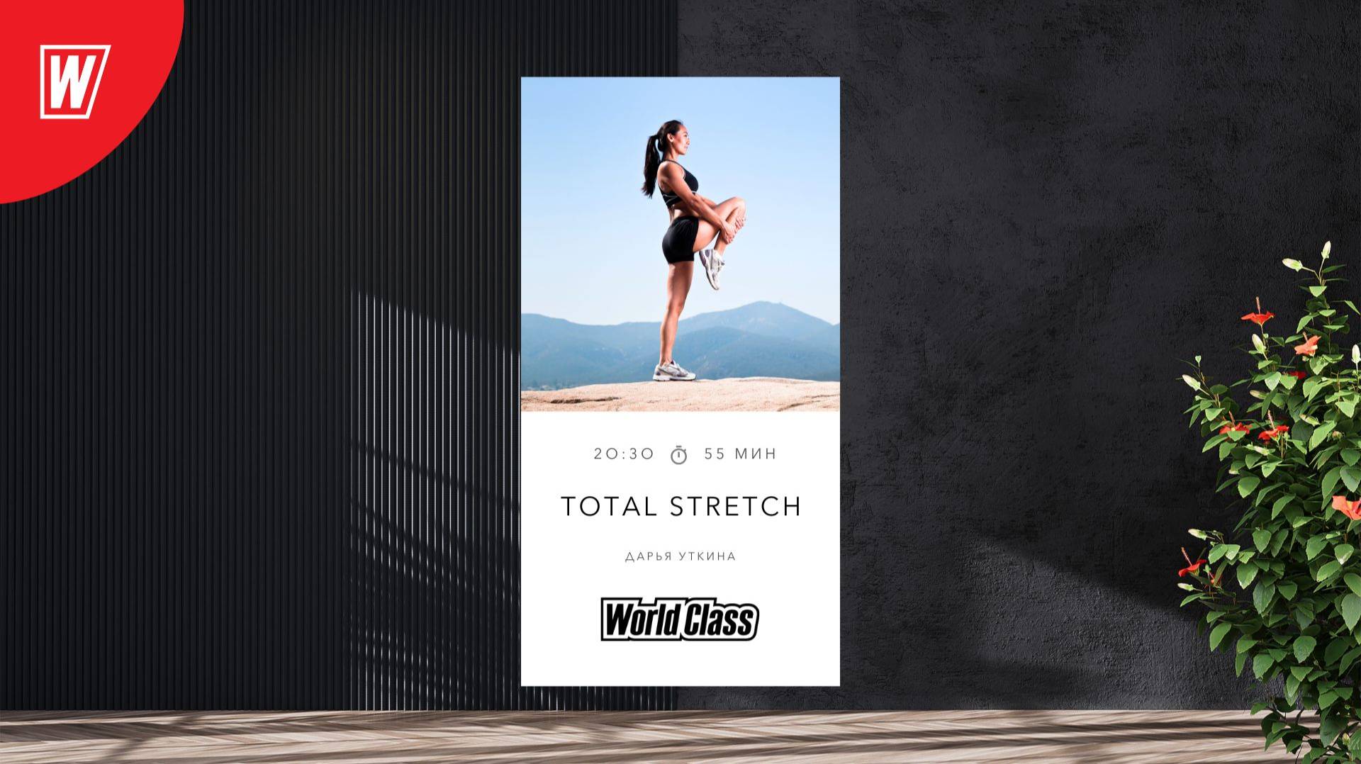 TOTAL STRETCH с Дарьей Уткиной | 11 августа 2025 | Онлайн-тренировки World Class