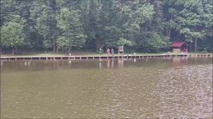 Поимки карпа на фидерную и поплавочную снасть. Клёвое место, Лосиный остров, верхний водоём.