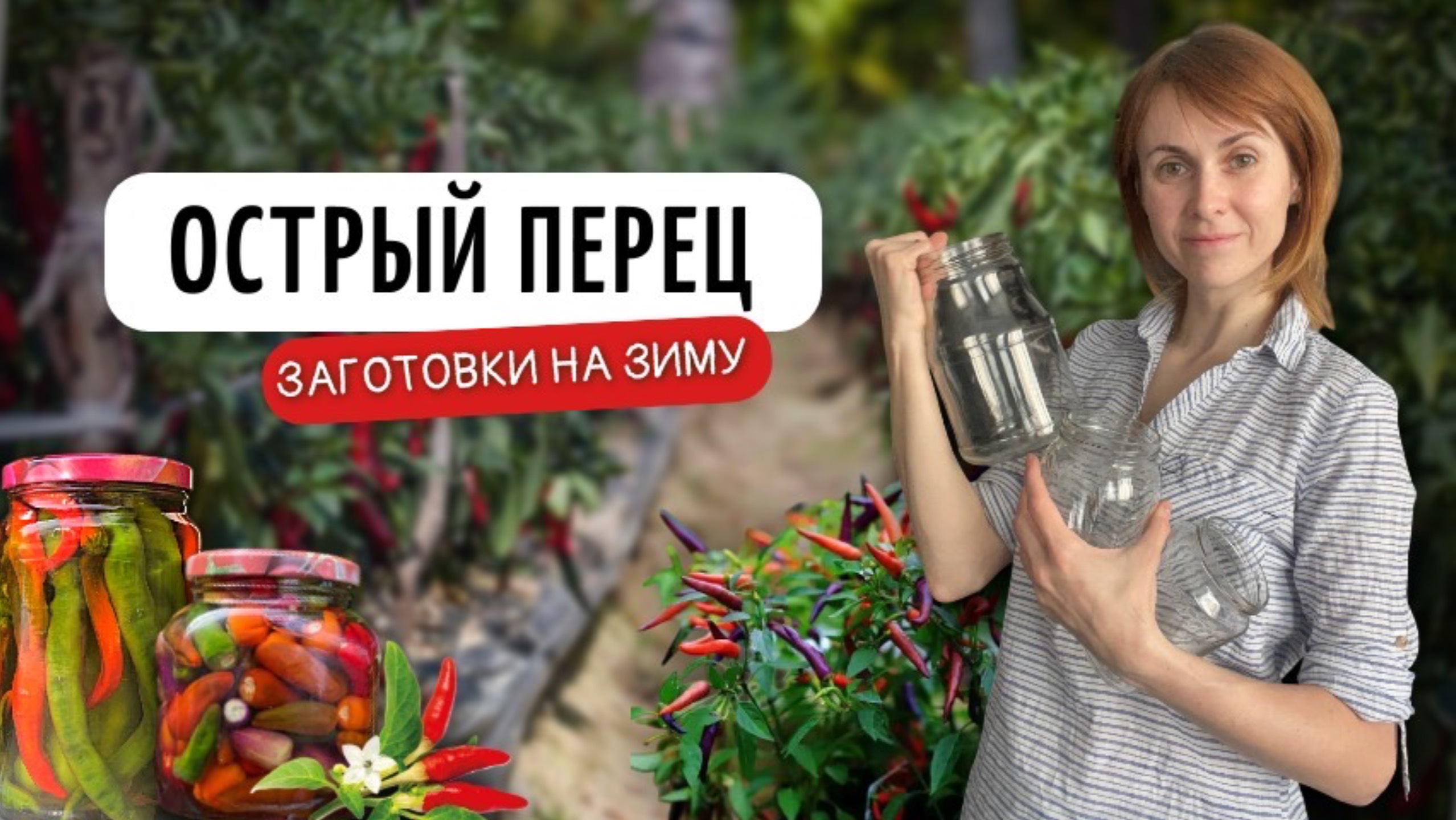 Острый перец в сиропе | Заготовки на зиму своими руками