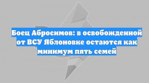 Боец Абросимов: в освобожденной от ВСУ Яблоновке остаются как минимум пять семей