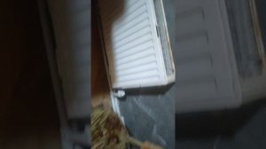 с пополнением