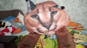 третьем три ночи с енотом