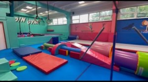 Дубнинская видео