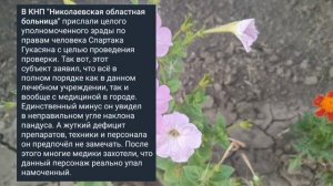 Николаев 12 августа 2025 года (новости)