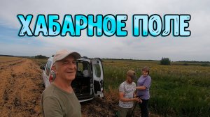Хабарное поле снова выдало результат!