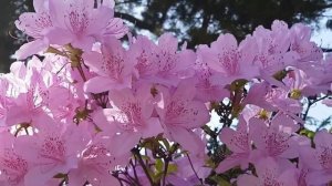 13 августа - Унесите это из дома. Откроете путь к богатству.