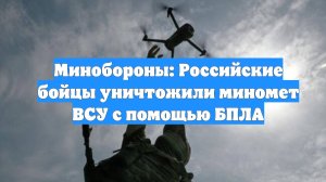 Минобороны: Российские бойцы уничтожили миномет ВСУ с помощью БПЛА