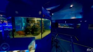 ТАЙНЫ ГЛУБИН ОКЕАНА! 🐋