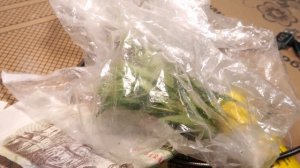 Лучшие дознаватели МВД