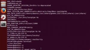 LPIC 105.1 часть четвертая. Bash переменные