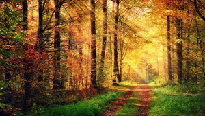 неизвестная монета