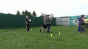 Тестирование Моншер Вирсаль Гроза