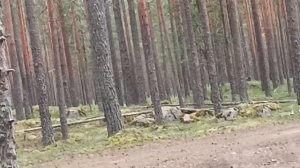 инь Дига 🔥🔥🎊 99 ночей в лесу сериия 1 сезон 1