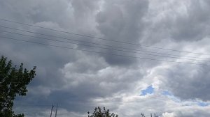 Дачные зарисовки🍎☀️🍇