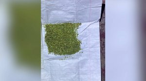 Наказание для сбытчика и наркомана