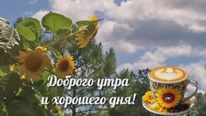 Доброго утра и хорошего дня!)