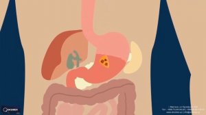 Роль кислорода в организме человека