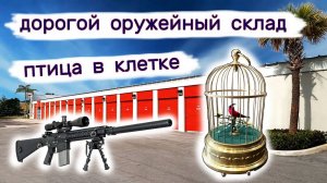 Дорогой оружейный склад, птица в клетке, антиквариат. Брошенный склад.