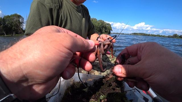 Рыбалка. Сом на квок . смотреть онлайн