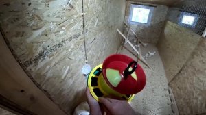 Малявку забыли дома , а сами ушли ! Они будут жить вместе ! ХУТОР В ЛЕСУ №732