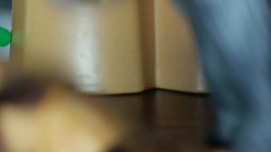 развитие малышей кинг-конга