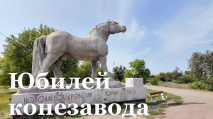 Двухвековой юбилей в этом месяце отмечает Новоалександровский конезавод