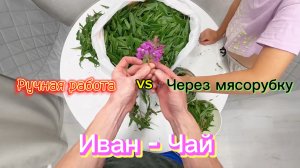 ЗАГОТОВКА ИВАН-ЧАЯ. Момент от СБОРА до ПРОБЫ.