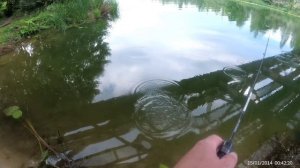 Окунь на мини воблер