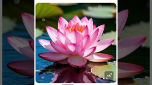 ПРАКТИКА НА ОСОЗНАННОСТЬ