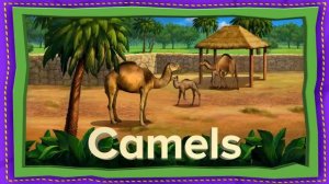 Zoo_Adventure_by_ABCmouse_🐼🦜🐅_｜_15_MINUTE_FULL_EPISODE_｜_Pandas