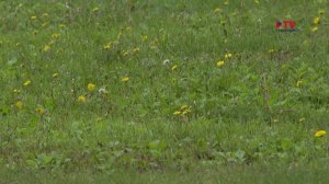 Губернские новости. 11.08.2025