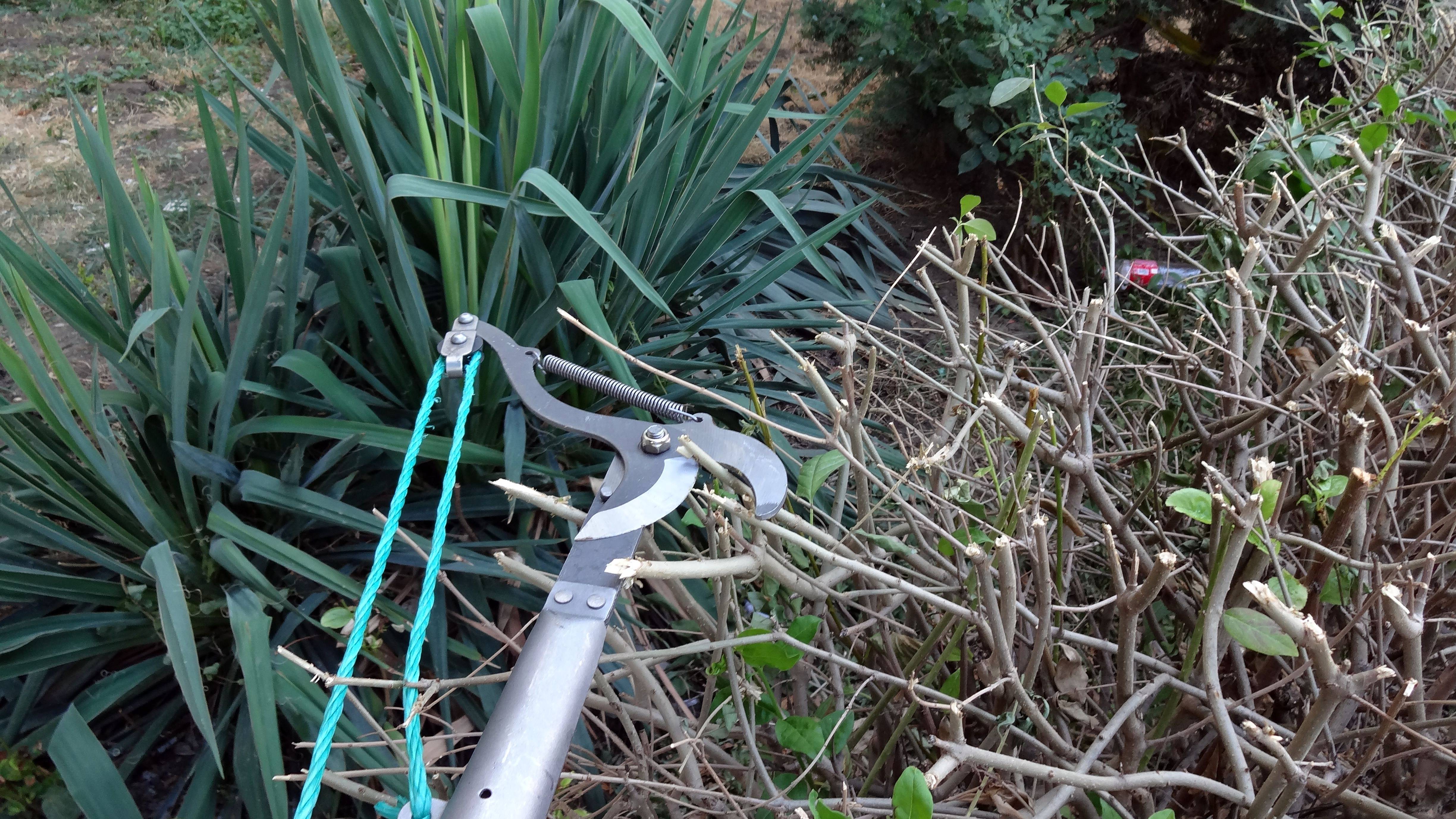 Ручной садовый секатор. смотреть онлайн