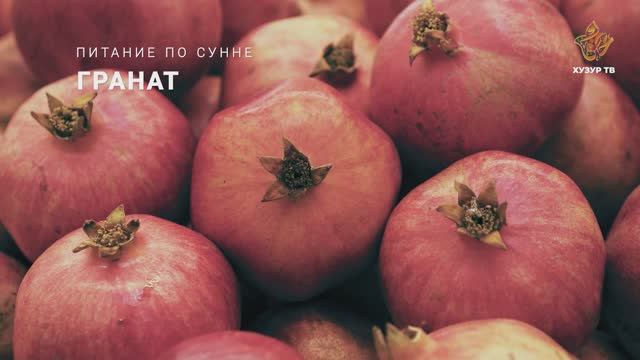 Гранат | Питание по сунне