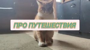 классный канал в ТГ