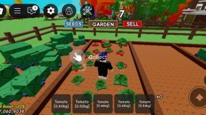 мангу вырасти саду